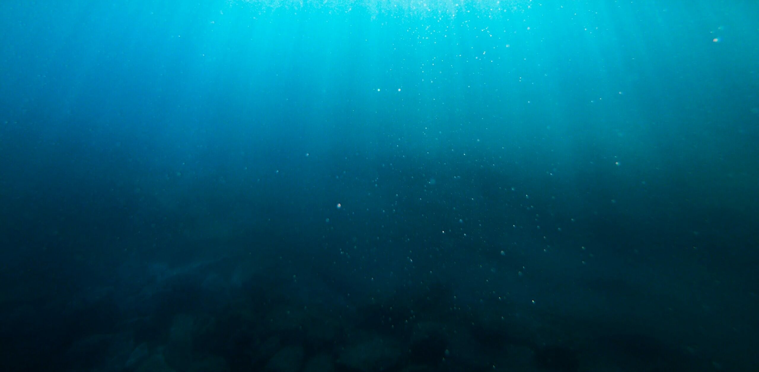Page d'accueil 4 underwater